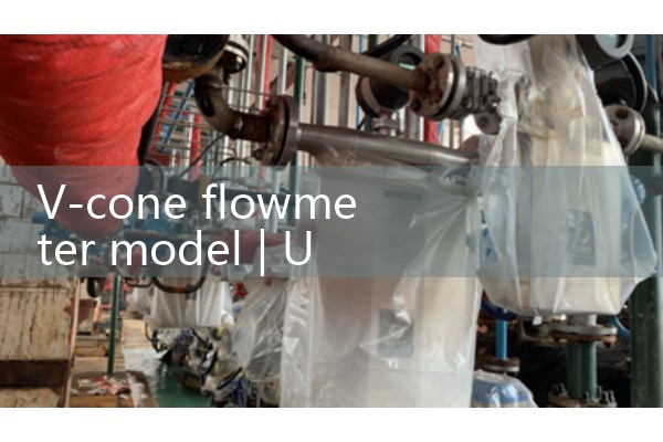 V-cone flowmeter model